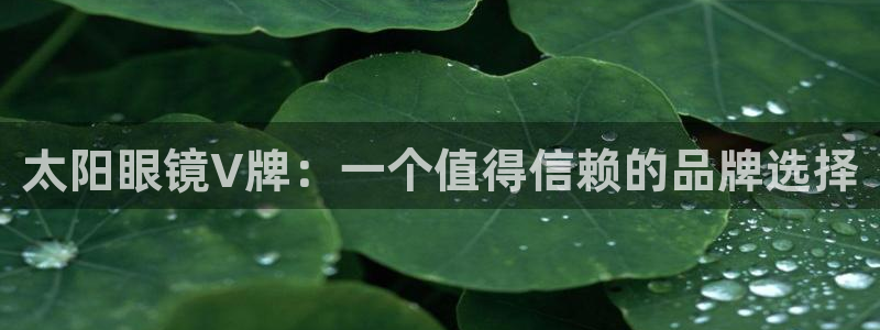 股票5G宝新