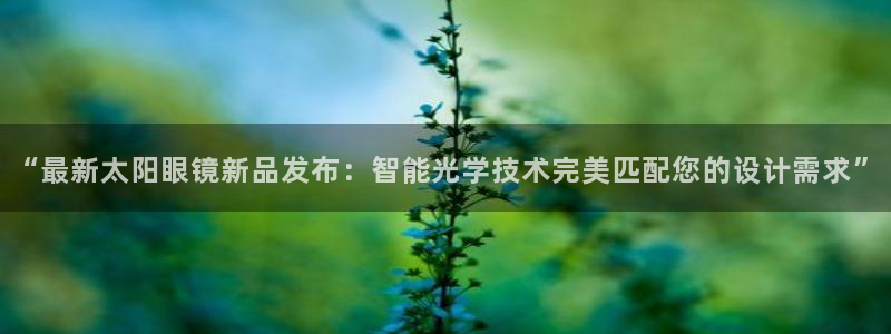 新宝5官网app