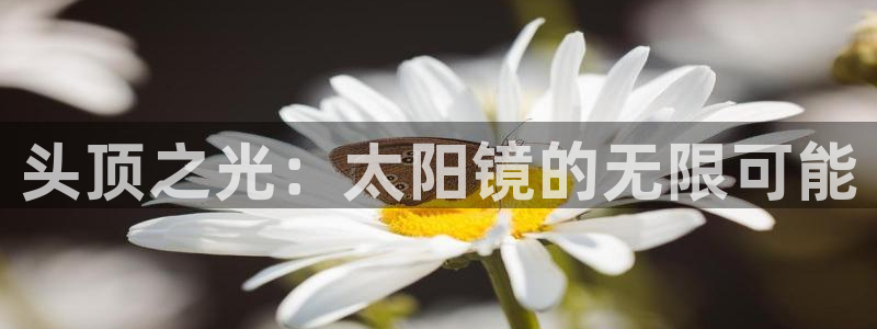 新宝5挂机