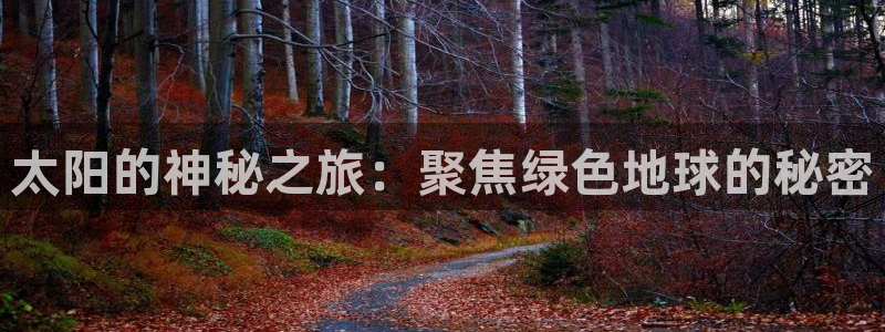 新宝5彩票平台登陆
