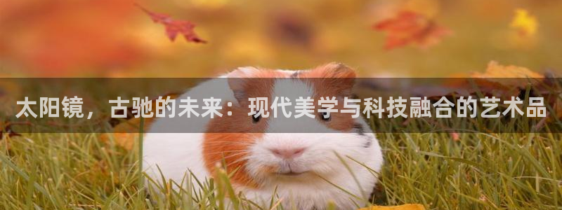 新宝b2O5O5O